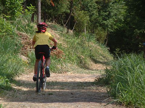 mtb_040425_102346_480.jpg