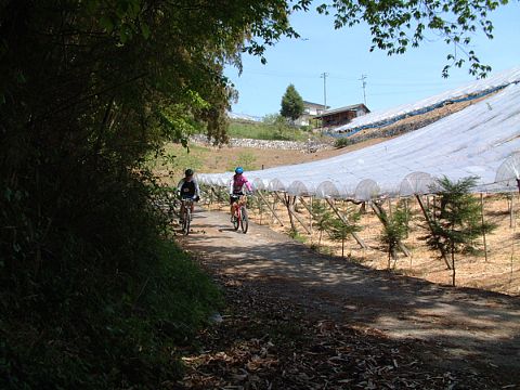 mtb_040425_103835_480.jpg