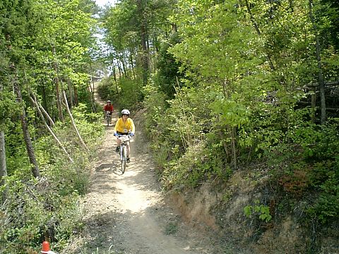 mtb_040425_105146_480.jpg