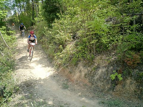 mtb_040425_105301_480.jpg