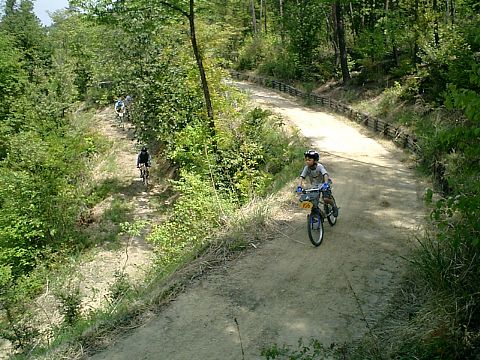 mtb_040425_105640_480.jpg