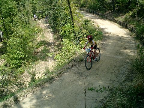 mtb_040425_105805_480.jpg