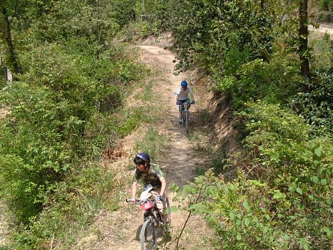 mtb_040425_121334_480.jpg