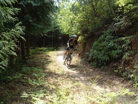 mtb_040425_121911_480.jpg