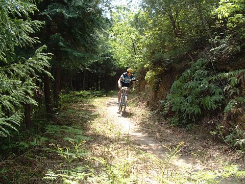 mtb_040425_121920_480.jpg