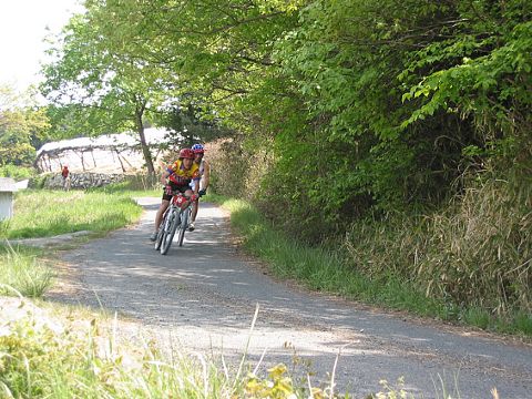 mtb_040425_125129_480.jpg