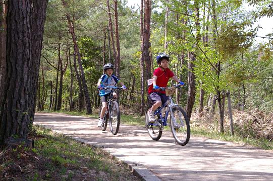 mtb_050424_100444-m.jpg