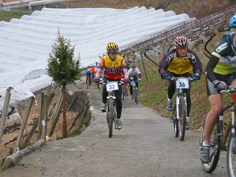 mtb_060423_100048.JPG