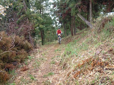 mtb_060423_102522.JPG