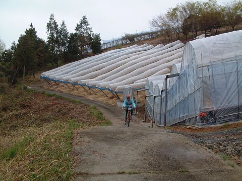 mtb_060423_102626.JPG
