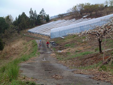 mtb_060423_103051.JPG