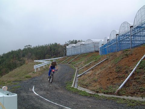 mtb_060423_110804.JPG