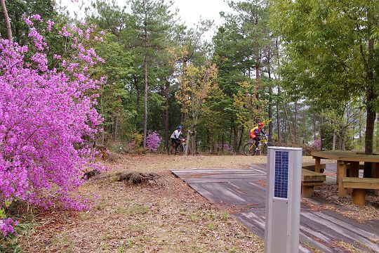 mtb_060423_111026.JPG
