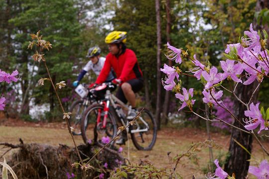 mtb_060423_111144.JPG
