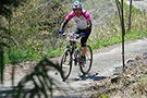 2010-04-25_113913