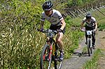 2012-04-29_102735